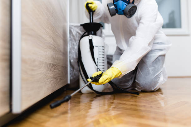 Best Rat Extermination Near Me  in Wilton Center, CT