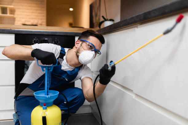Wasp Removal Services in Wilton Center, CT