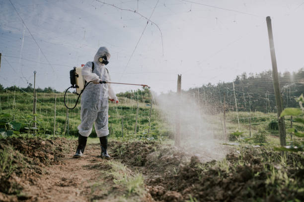 Best Ant Control Services  in Wilton Center, CT