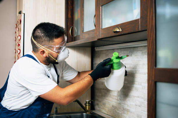 Best Exterminator Services  in Wilton Center, CT