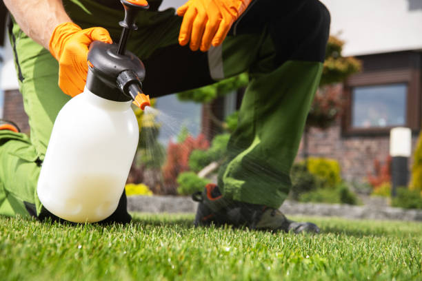 Pest Control for Restaurants in Wilton Center, CT