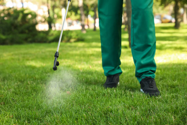 Best Local Pest Control Services  in Wilton Center, CT